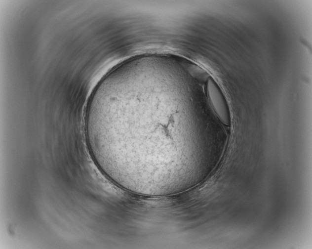 X0000100371392200806201617