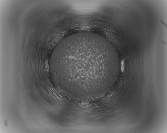 X0000100371395200806201617