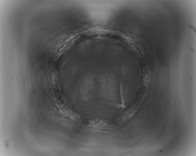 X0000100371397200806201617