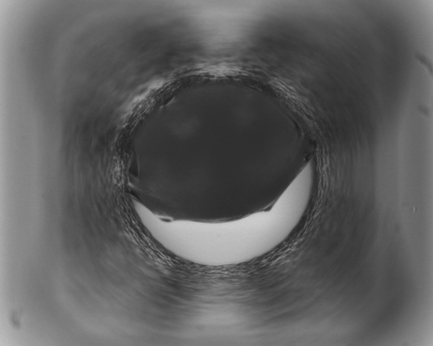 X0000100371398200806201617