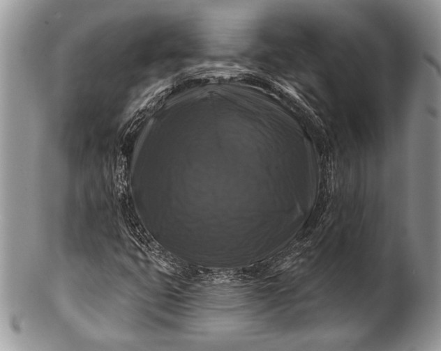 X0000100371399200806201617