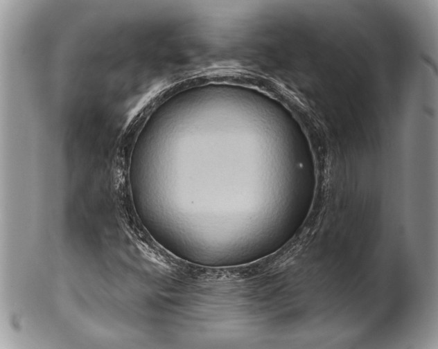 X0000100371400200806201617