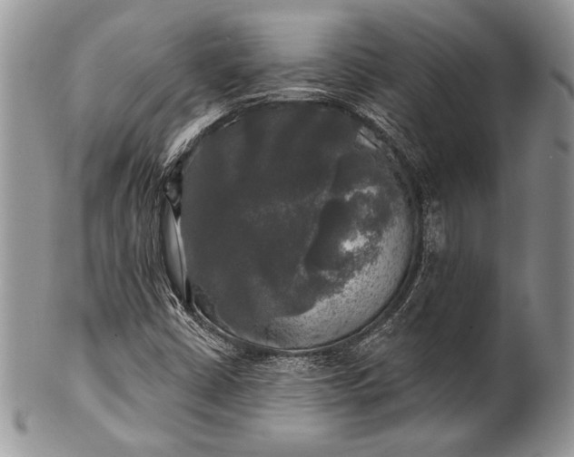 X0000100371402200806201617