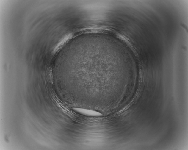 X0000100371403200806201617