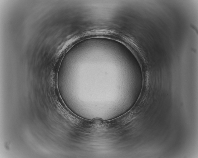 X0000100371404200806201617