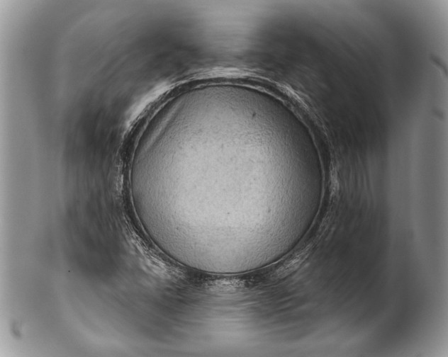 X0000100371406200806201617