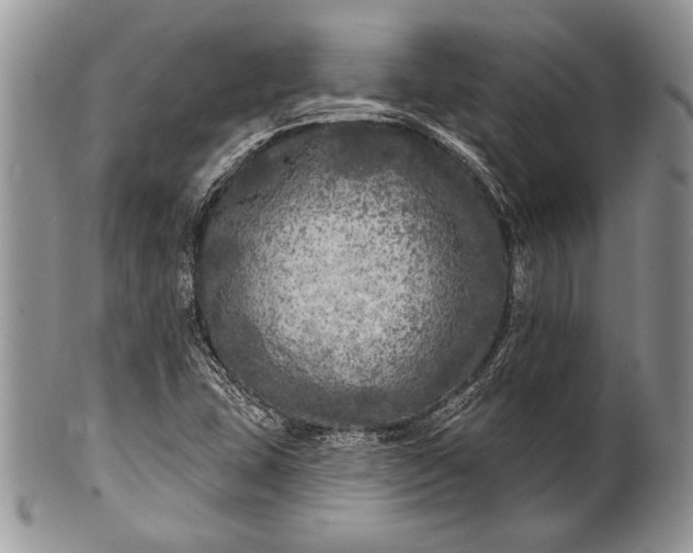 X0000100371407200806201617