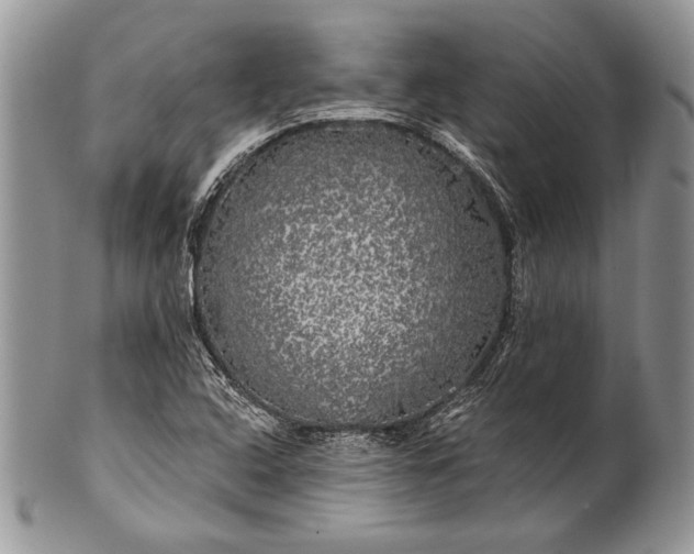 X0000100371408200806201617