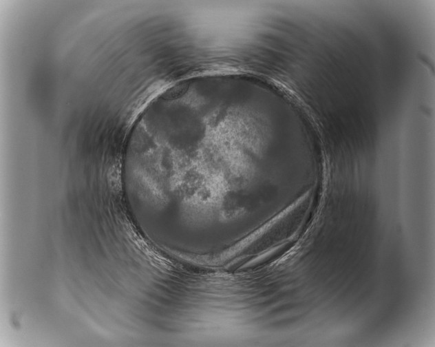 X0000100371409200806201617