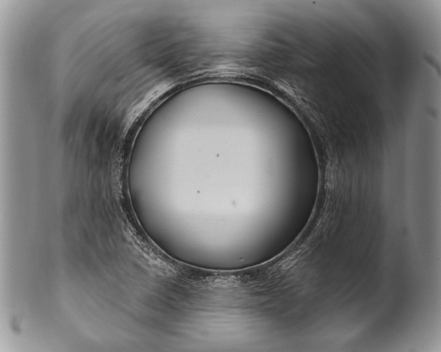 X0000100371410200806201617