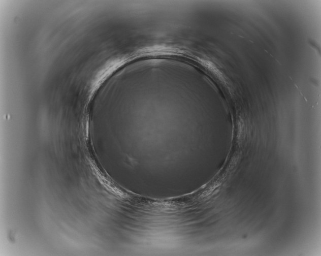 X0000100371413200806201617