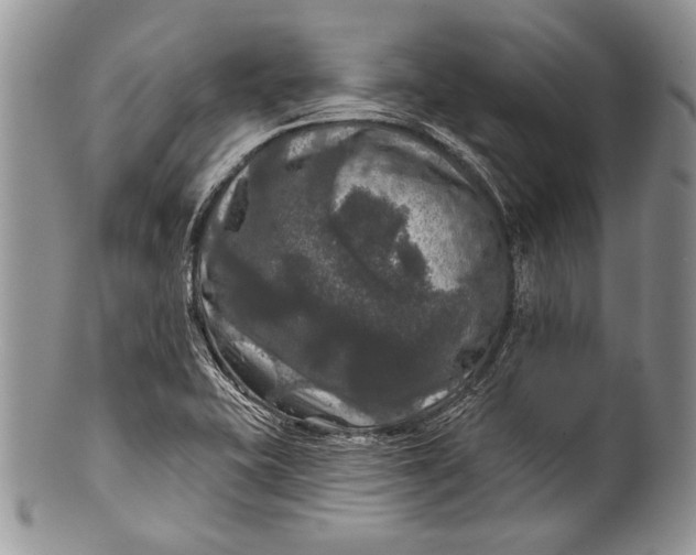 X0000100371415200806201617