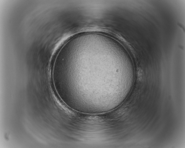 X0000100371416200806201617