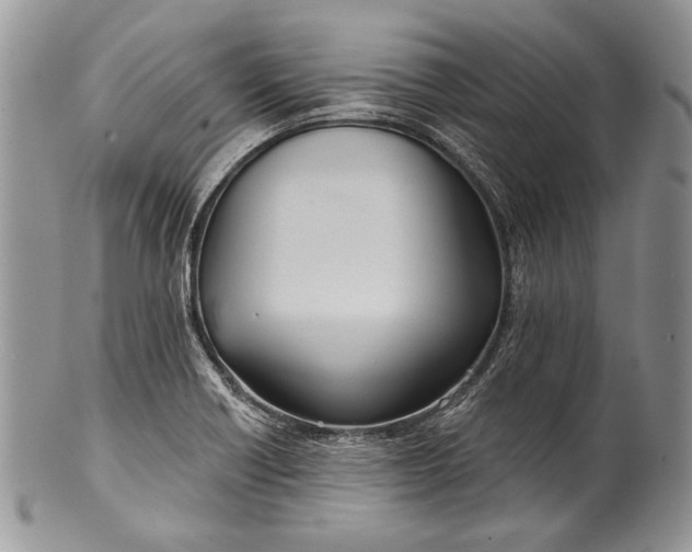 X0000100371418200806201617