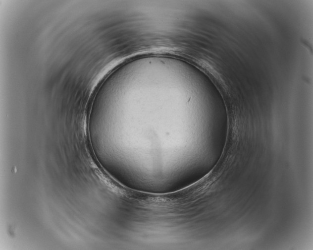 X0000100371420200806201617