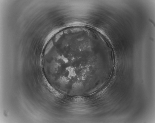 X0000100371421200806201617