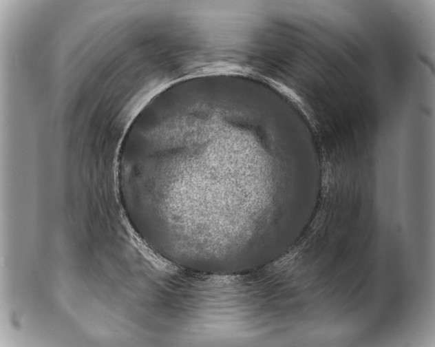 X0000100371423200806201617