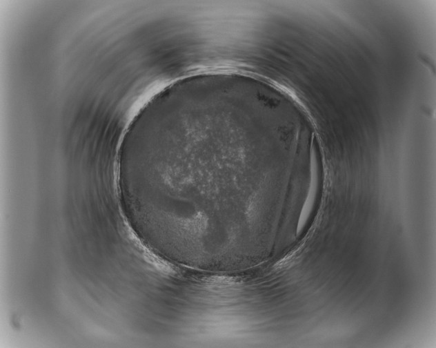 X0000100371424200806201617