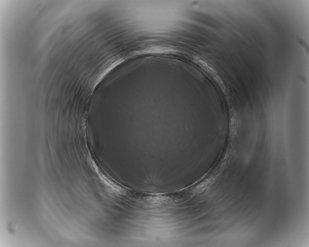 X0000100371425200806201617