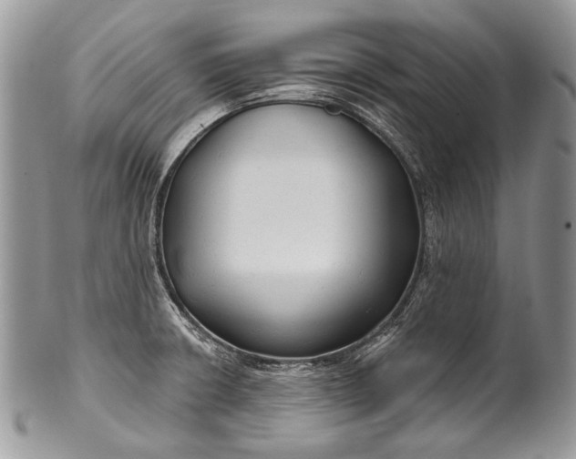 X0000100371426200806201617