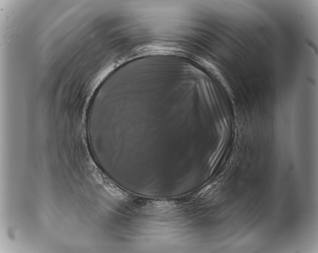 X0000100371427200806201617