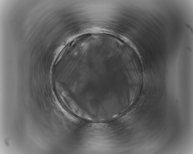 X0000100371429200806201617