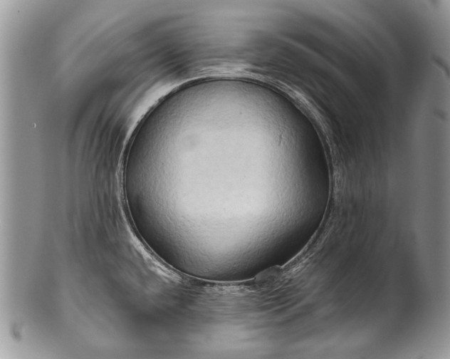 X0000100371432200806201617