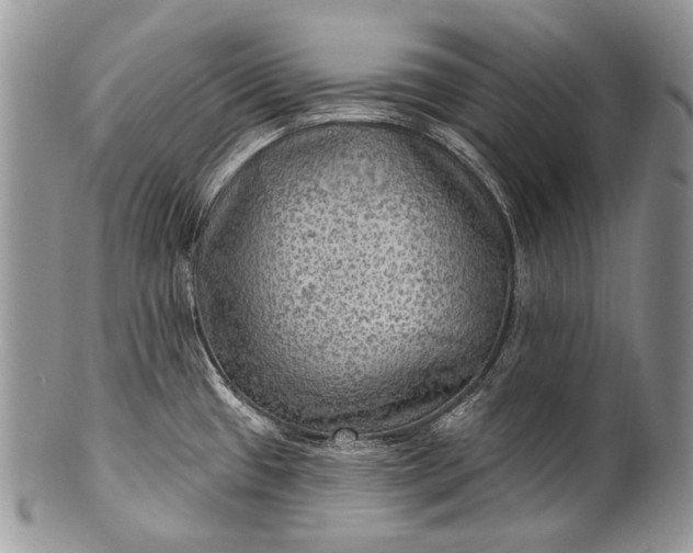 X0000100371433200806201617