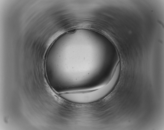 X0000100371434200806201617