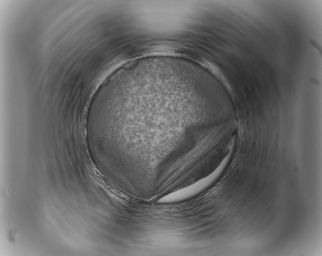 X0000100371435200806201617