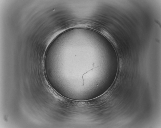 X0000100371436200806201617