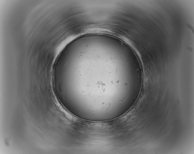 X0000100371437200806201617