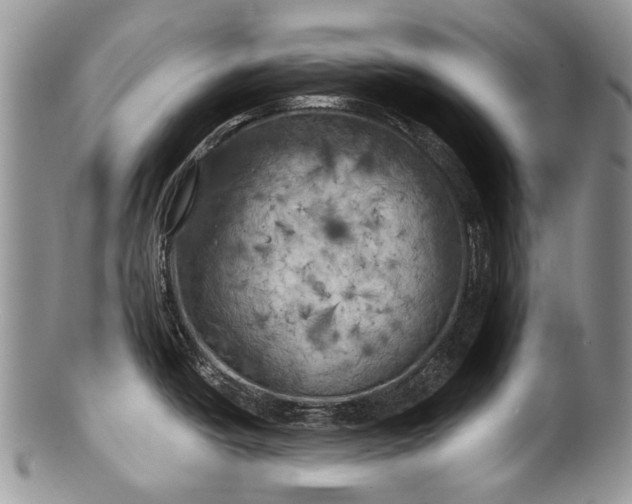 X0000100371438200806201617