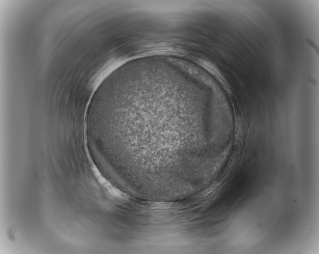 X0000100371439200806201617