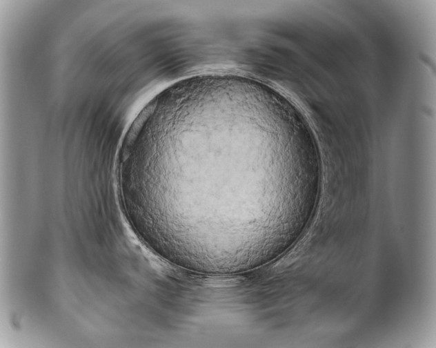 X0000100371440200806201617