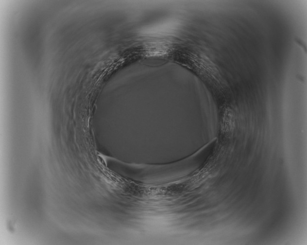 X0000100371441200806201617