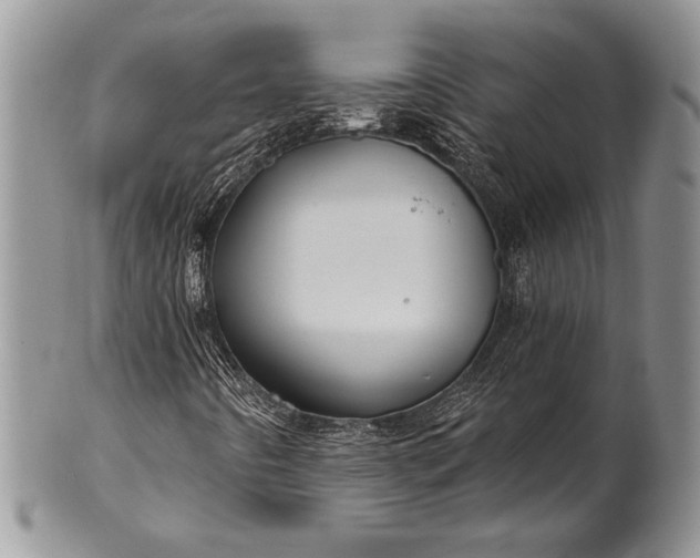 X0000100371442200806201617