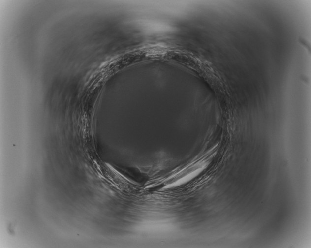 X0000100371445200806201616