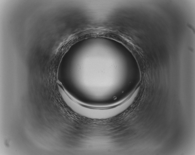 X0000100371447200806201616