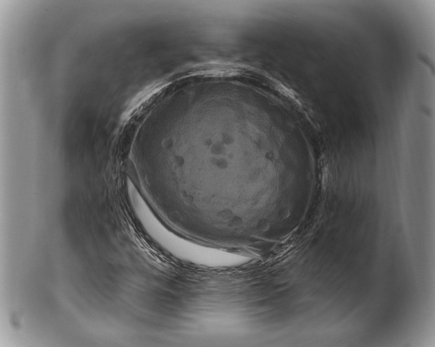 X0000100371448200806201616