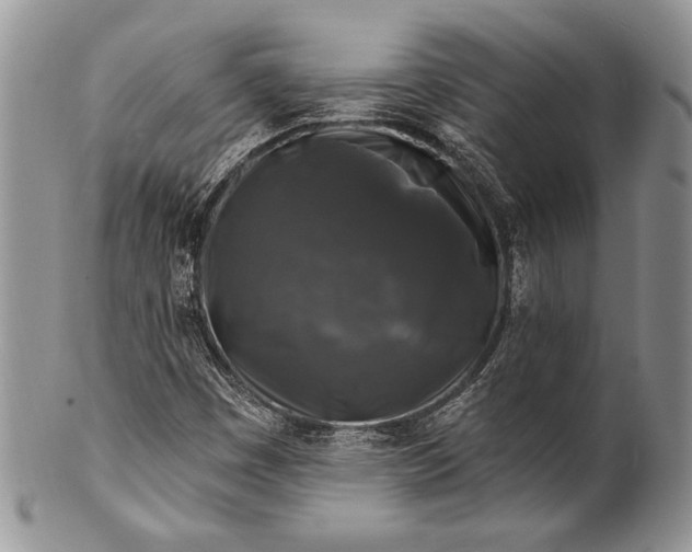 X0000100371449200806201616