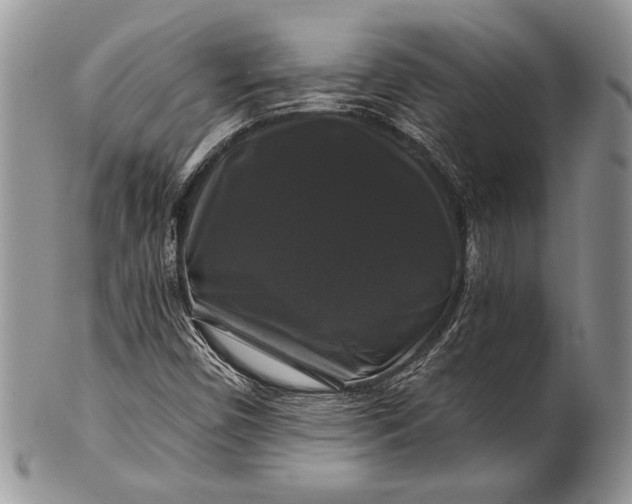 X0000100371450200806201616