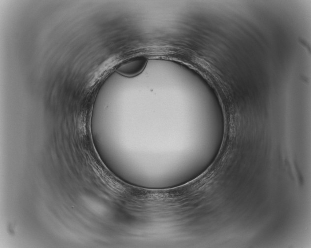 X0000100371451200806201616