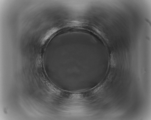 X0000100371453200806201616