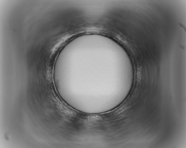 X0000100371454200806201616