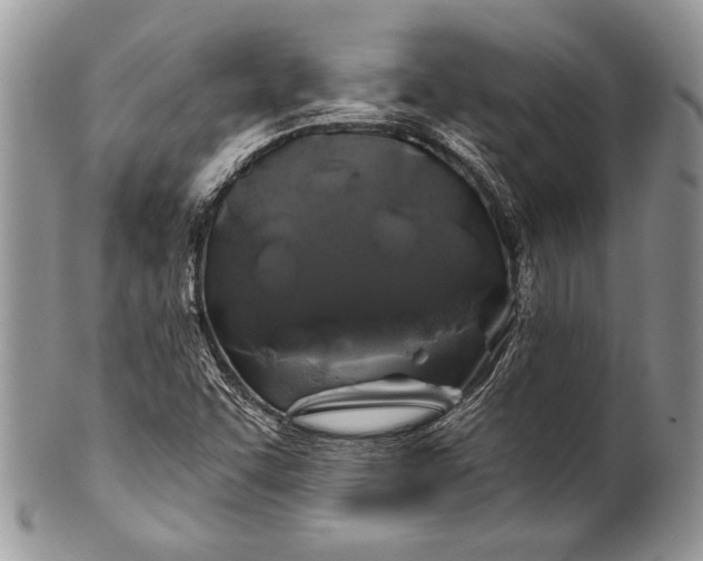 X0000100371455200806201616