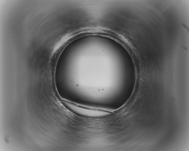 X0000100371456200806201616