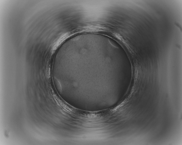 X0000100371459200806201616