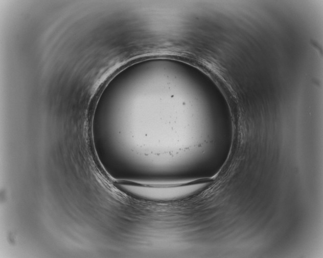 X0000100371460200806201616