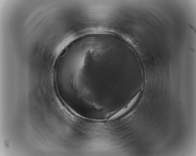 X0000100371463200806201616